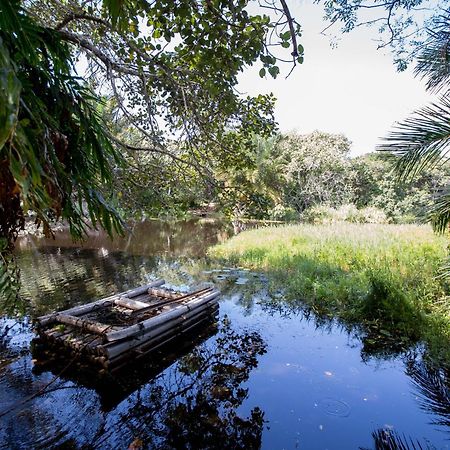 Royal Thonga Safari Lodge Sihangwane Kültér fotó