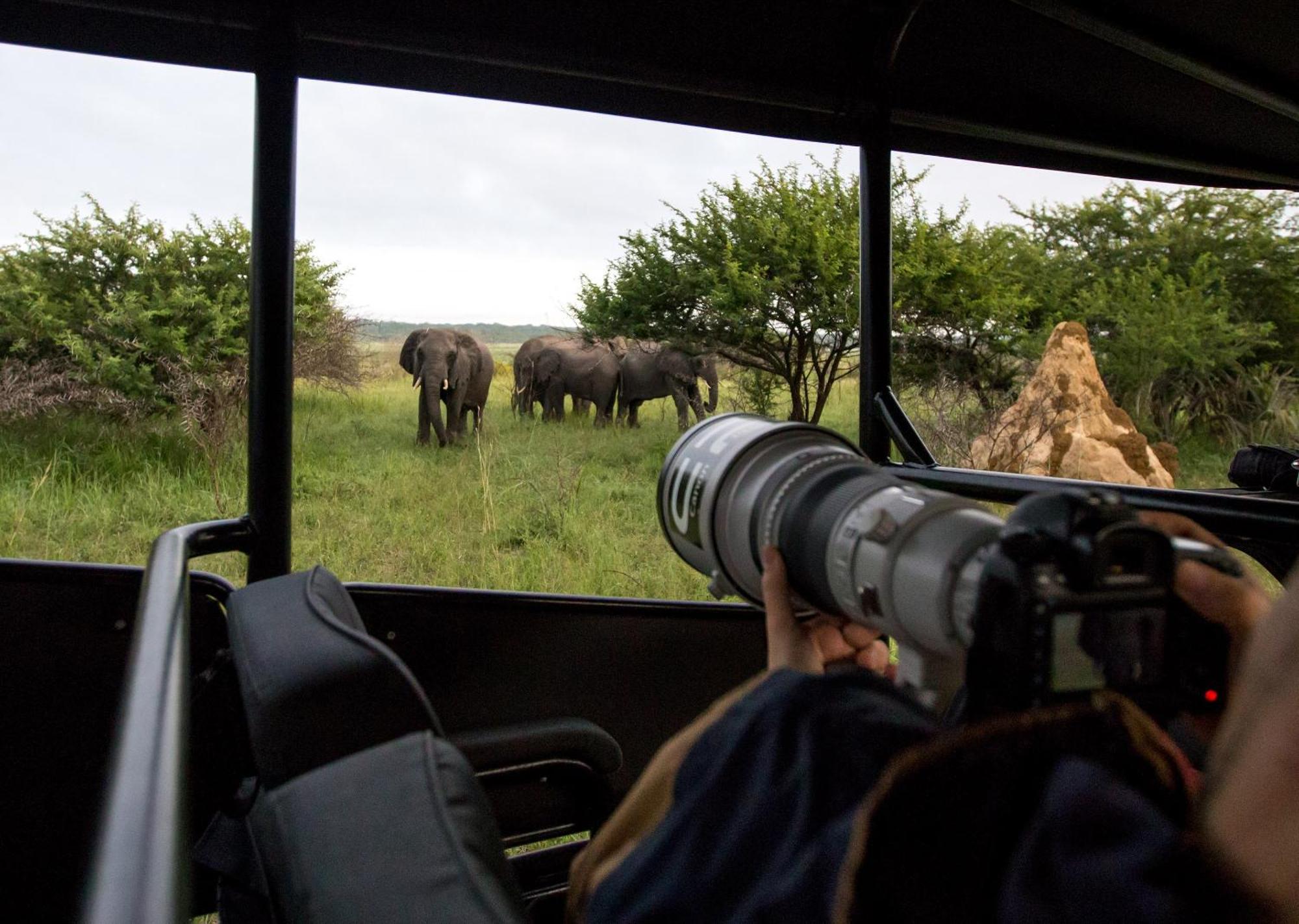 Royal Thonga Safari Lodge Sihangwane Kültér fotó