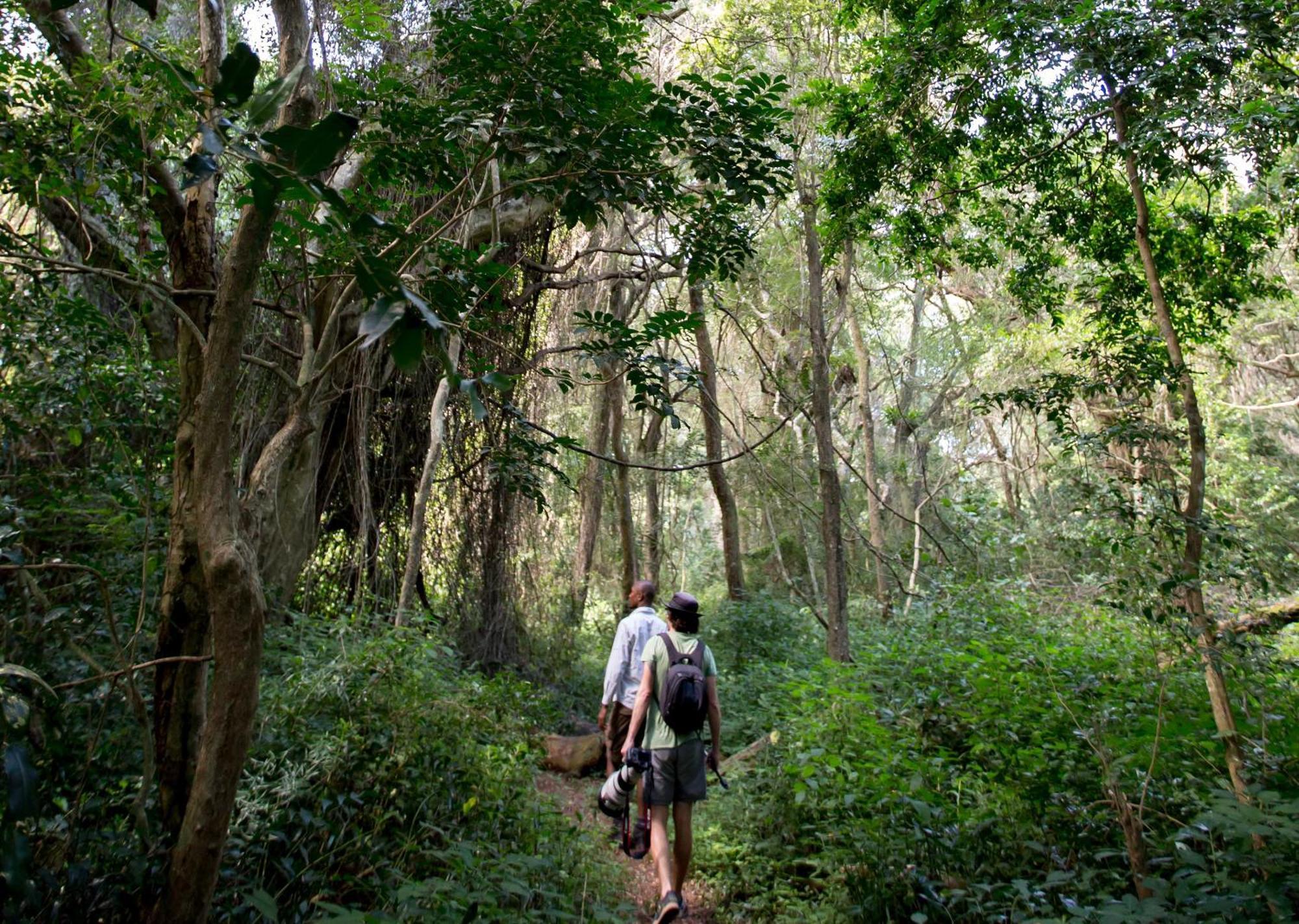 Royal Thonga Safari Lodge Sihangwane Kültér fotó