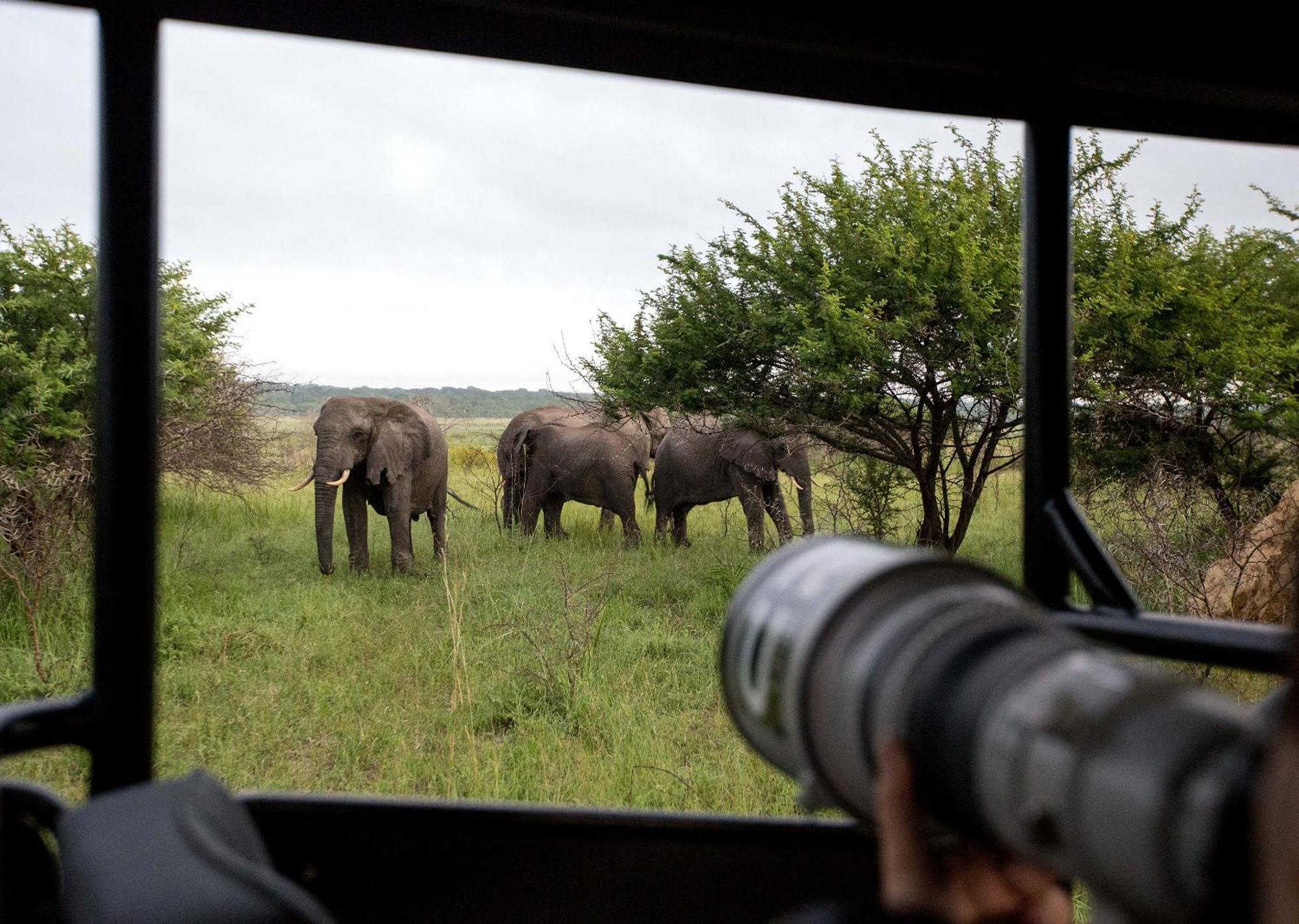 Royal Thonga Safari Lodge Sihangwane Kültér fotó