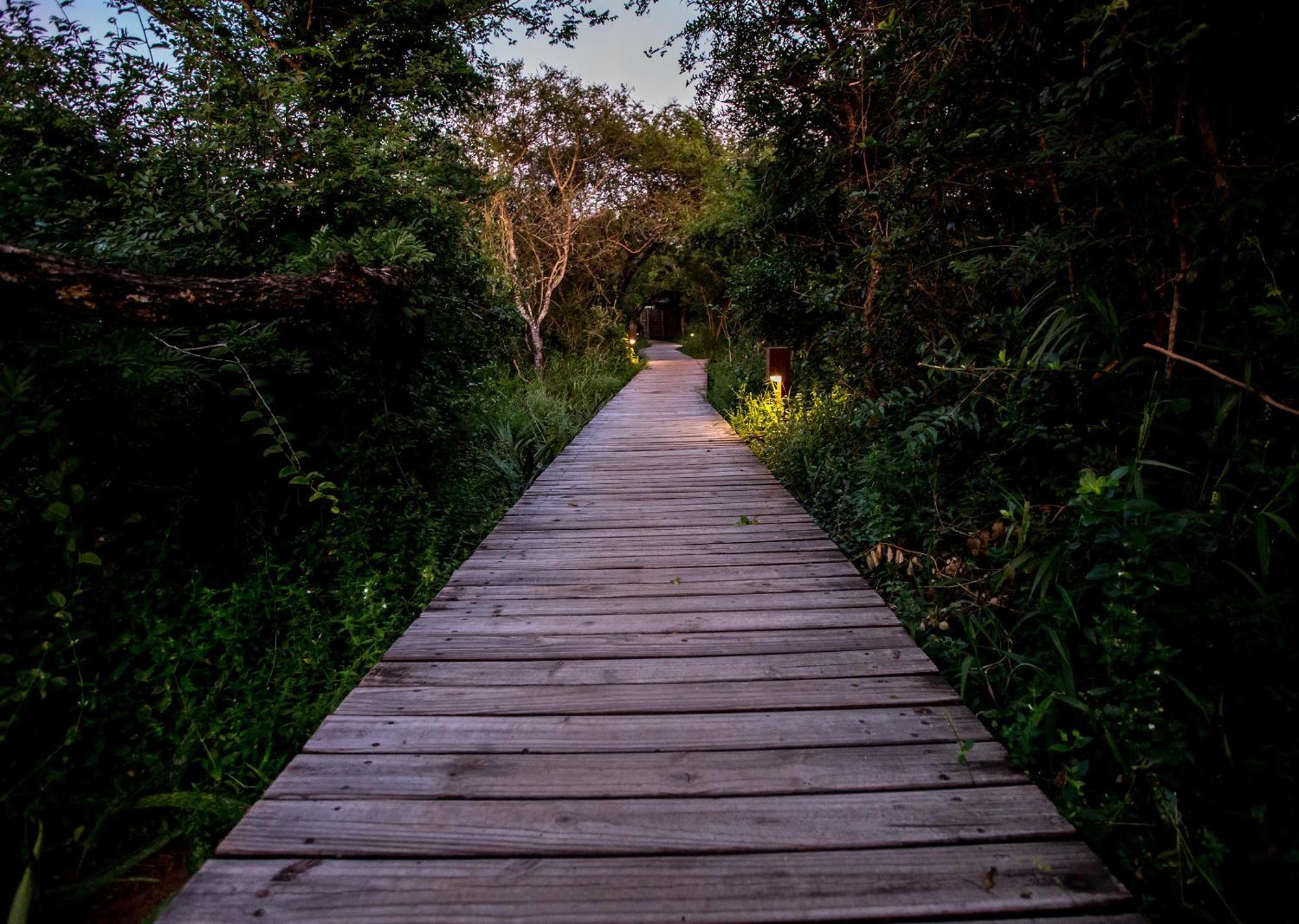 Royal Thonga Safari Lodge Sihangwane Kültér fotó