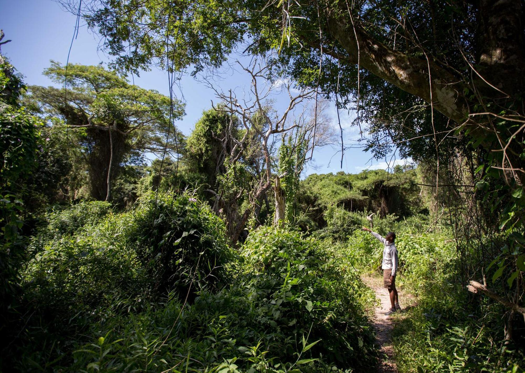 Royal Thonga Safari Lodge Sihangwane Kültér fotó