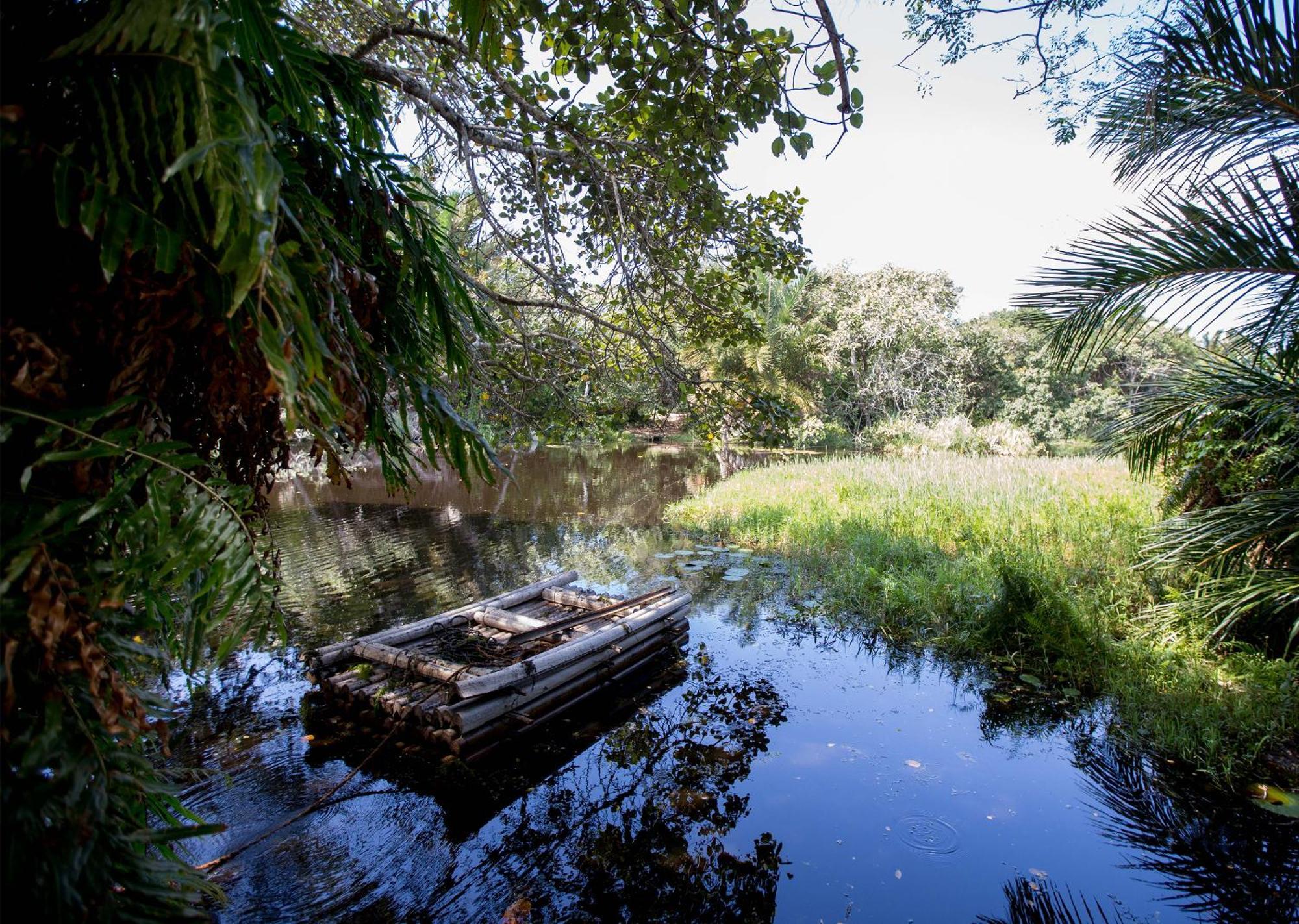 Royal Thonga Safari Lodge Sihangwane Kültér fotó