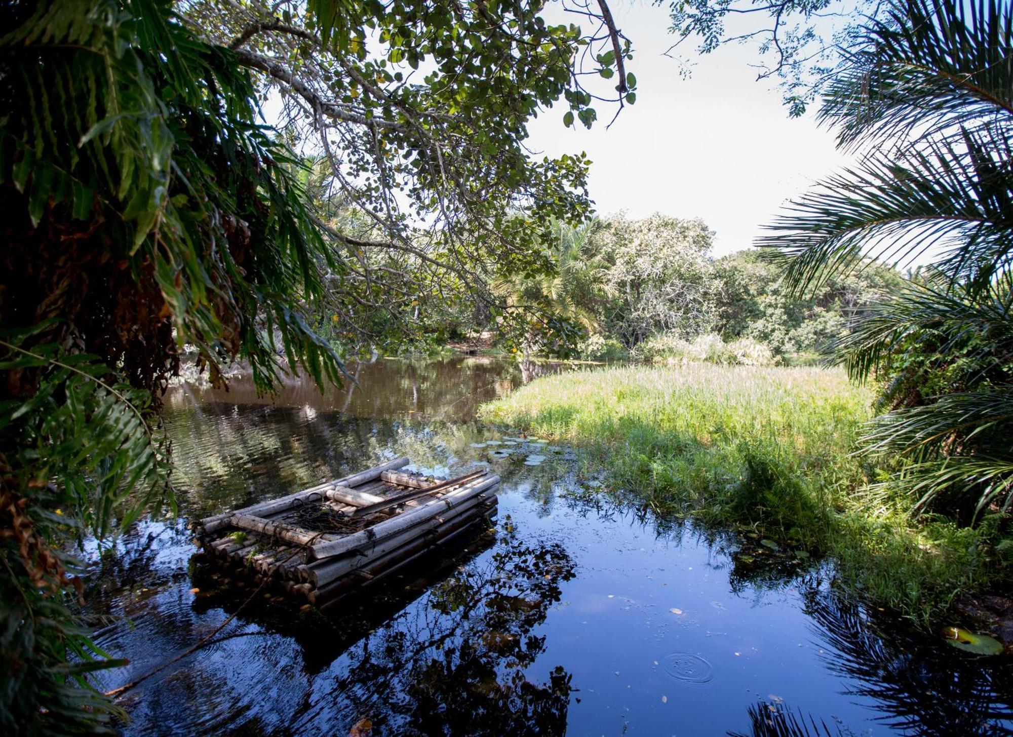Royal Thonga Safari Lodge Sihangwane Kültér fotó